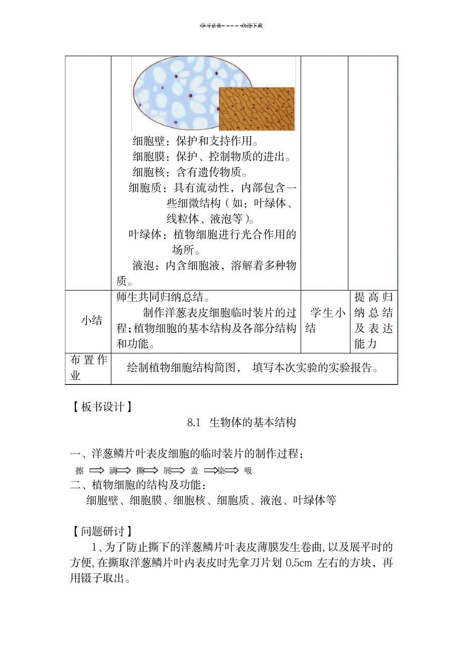 《制作洋葱表皮细胞临时装片》教学设计_医学心理学-烧伤科_第5页