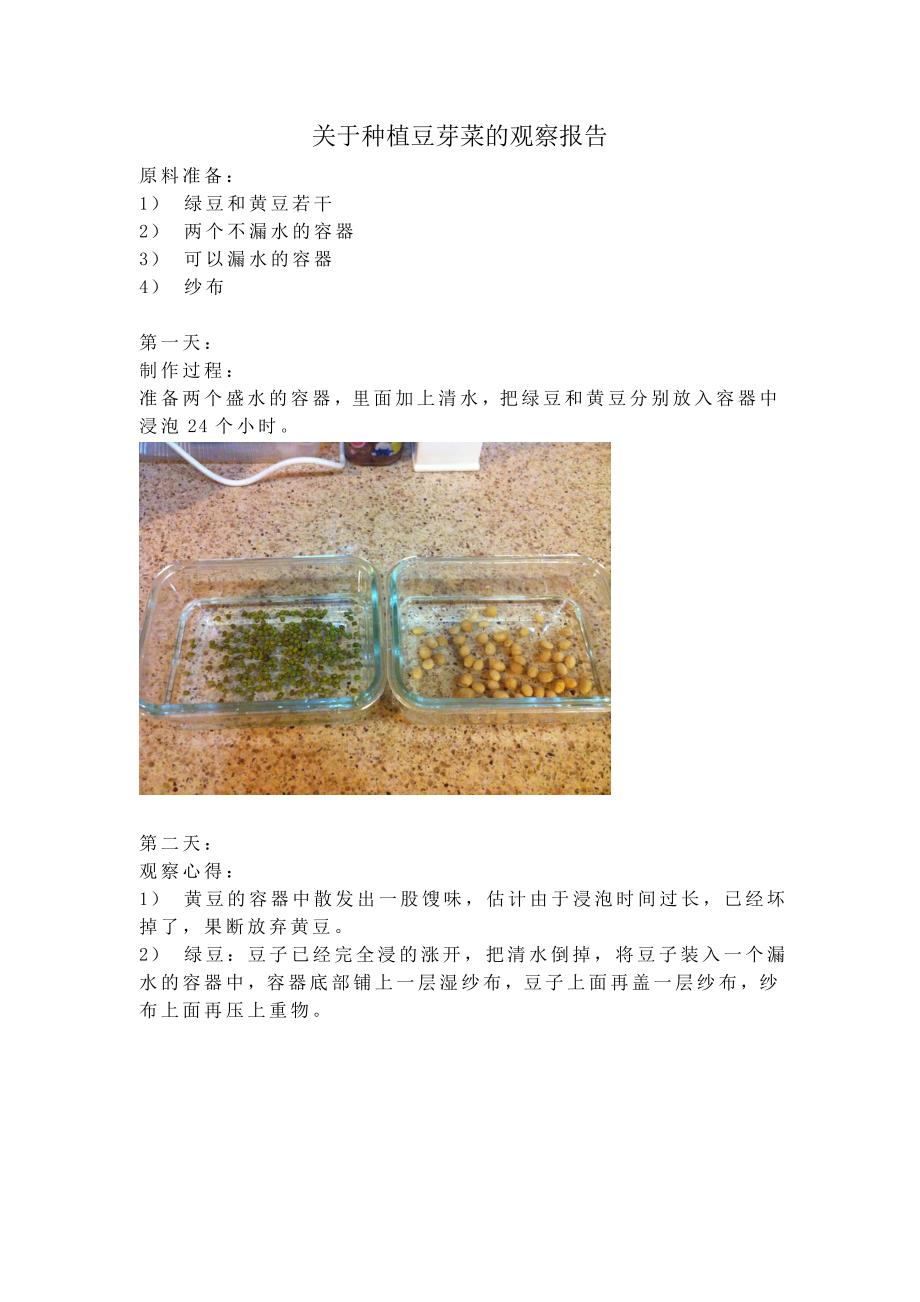 二6班林语欣种植豆芽菜的观察.doc_第2页