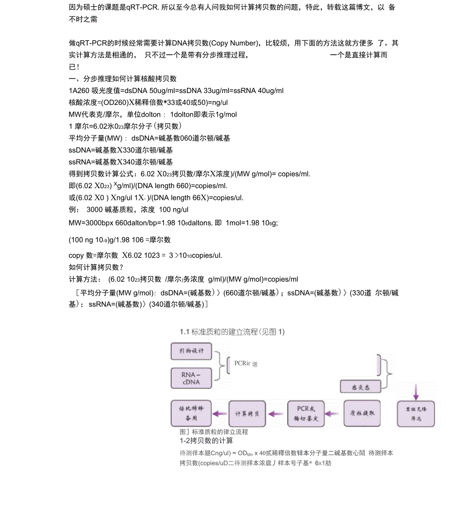 QPCR拷贝数计算_第1页