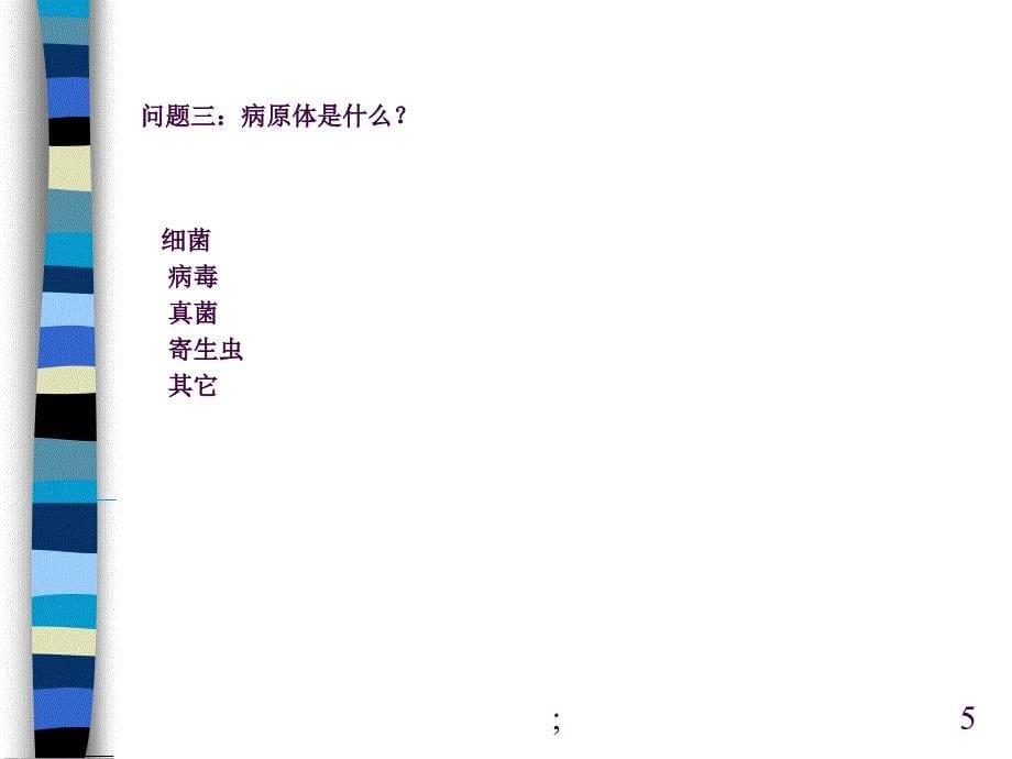 中枢神经系统感染性疾病1病毒性脑炎细菌性脑膜炎ppt课件_第5页