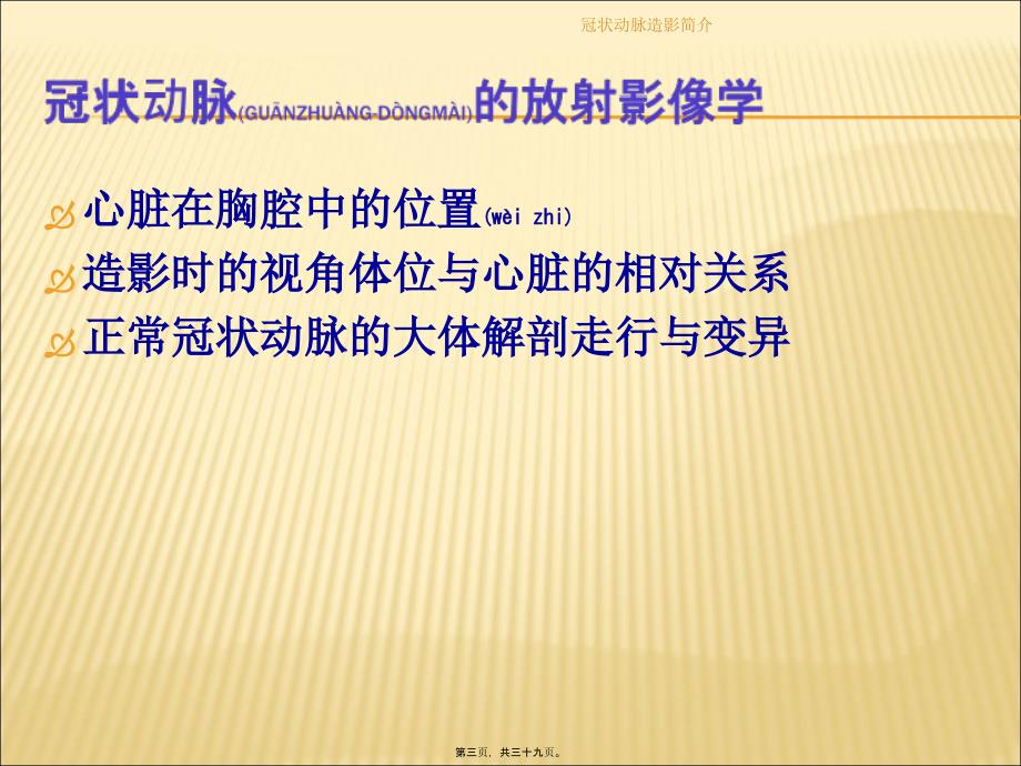 冠状动脉造影简介课件_第3页