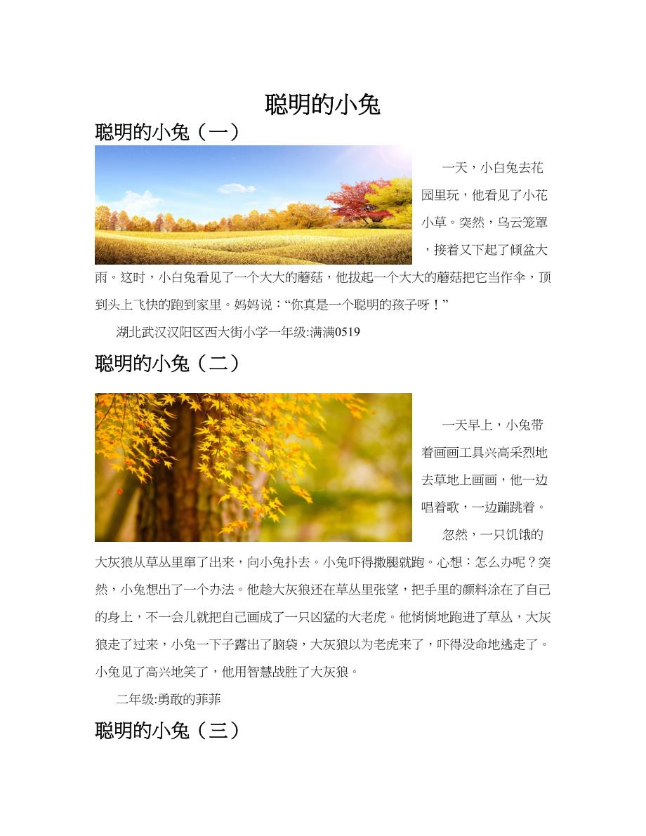 聪明的小兔(共10篇).docx_第1页