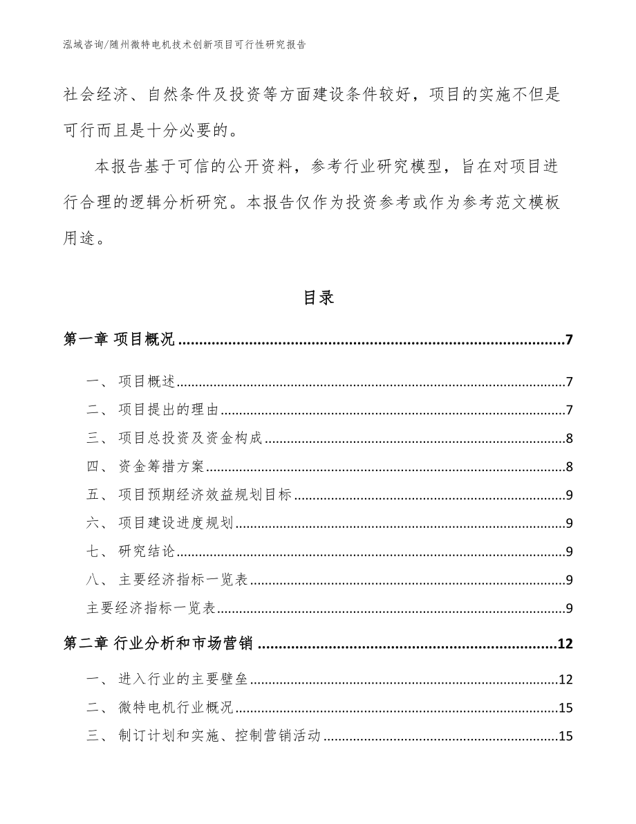 随州微特电机技术创新项目可行性研究报告（模板范本）_第2页