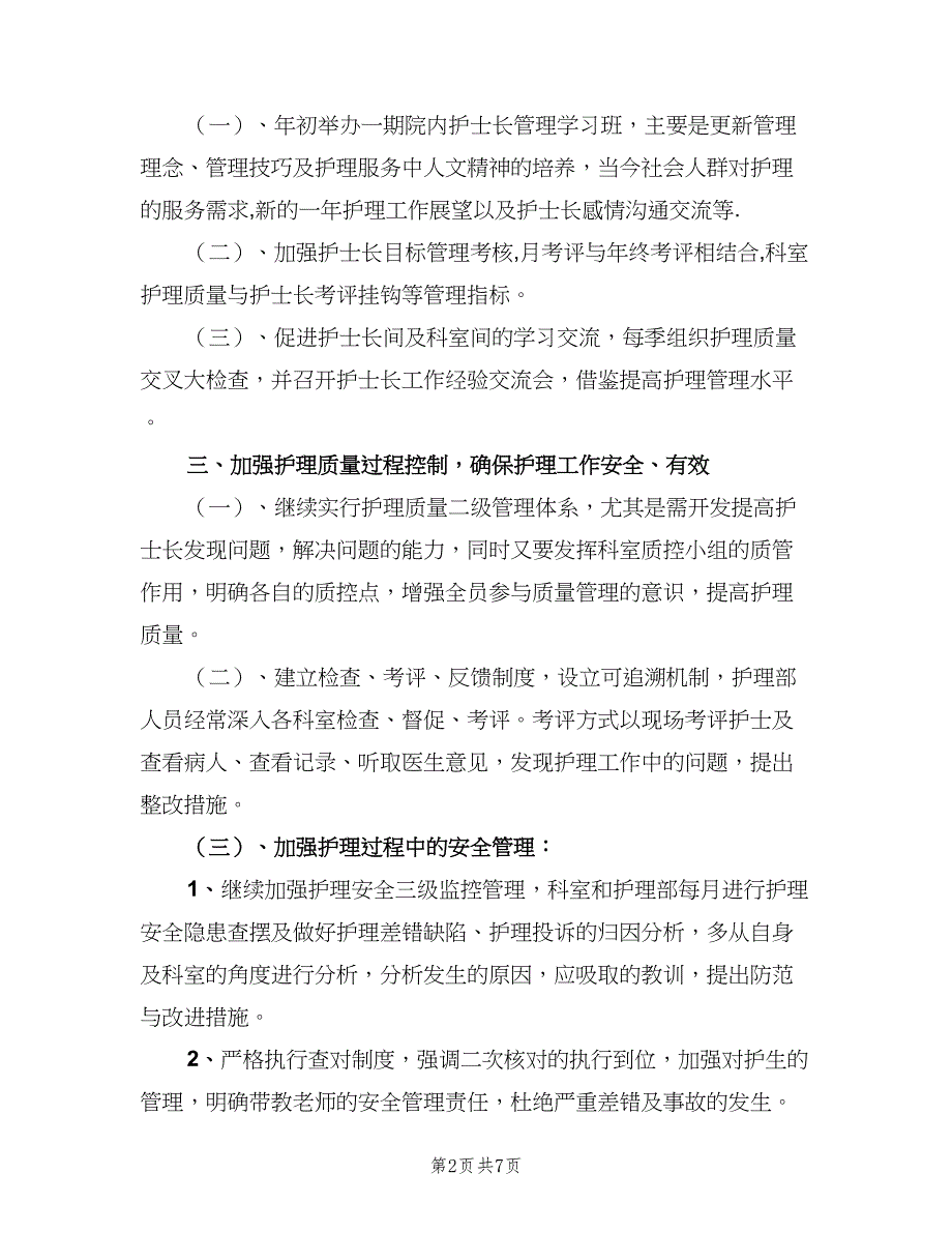 医院护士工作计划标准范文（二篇）.doc_第2页