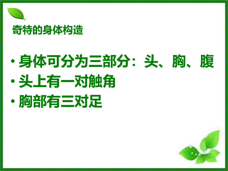 1.2.教科版六年级下册科学第一单元微小世界放大镜下的昆虫世界_第4页