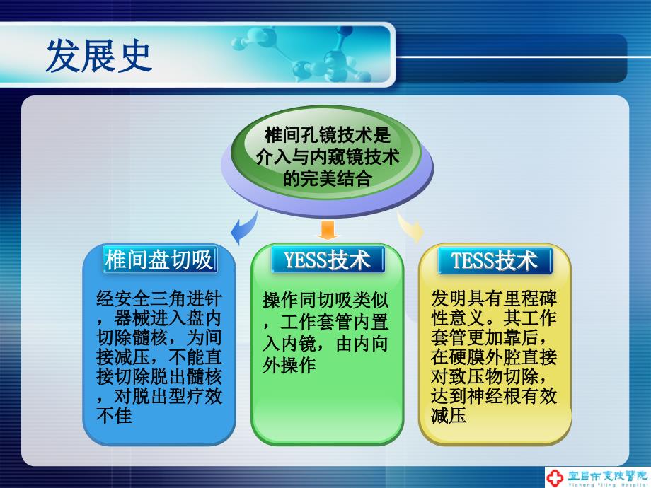 经皮椎间孔镜技术治疗腰椎间盘突出症_第3页