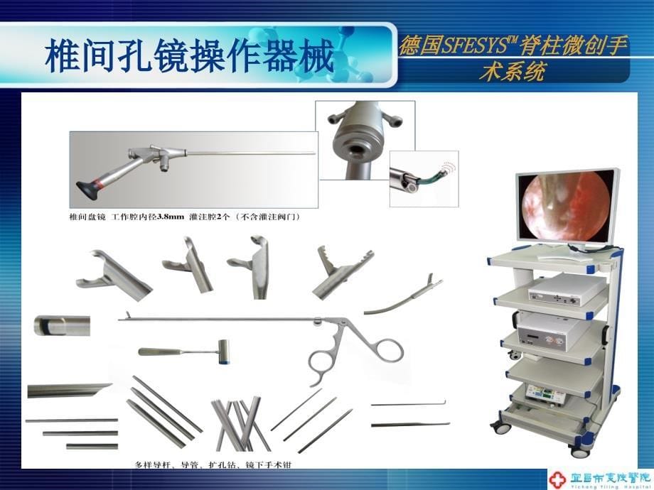 经皮椎间孔镜技术治疗腰椎间盘突出症_第5页