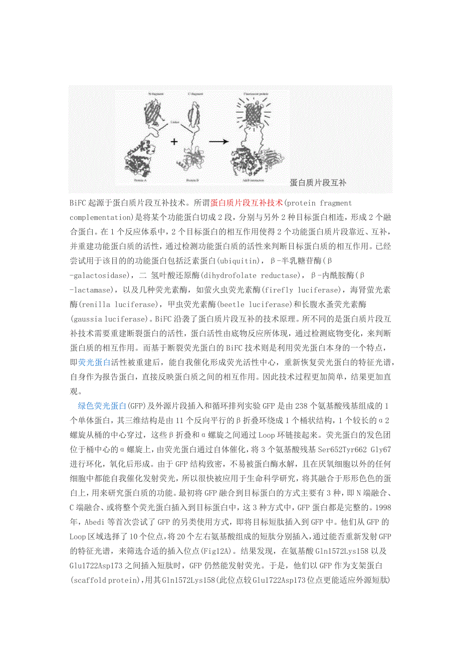 双分子荧光互补.docx_第2页