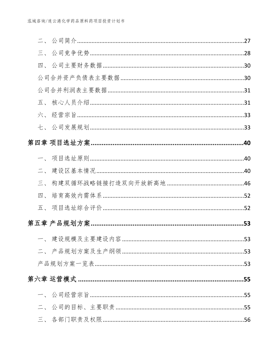 连云港化学药品原料药项目投资计划书【范文模板】_第2页