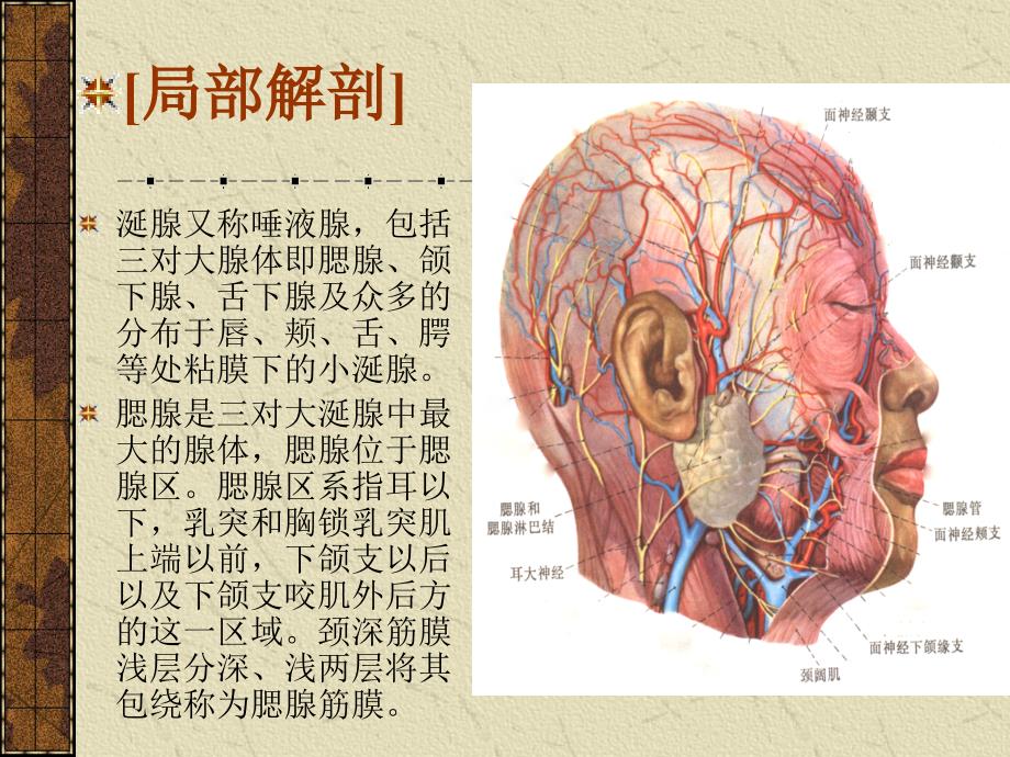 医学腮腺癌的手术治疗精品课件_第2页