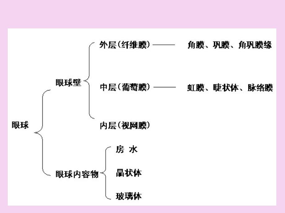 接触眼科眼科员工培训资料ppt课件_第4页