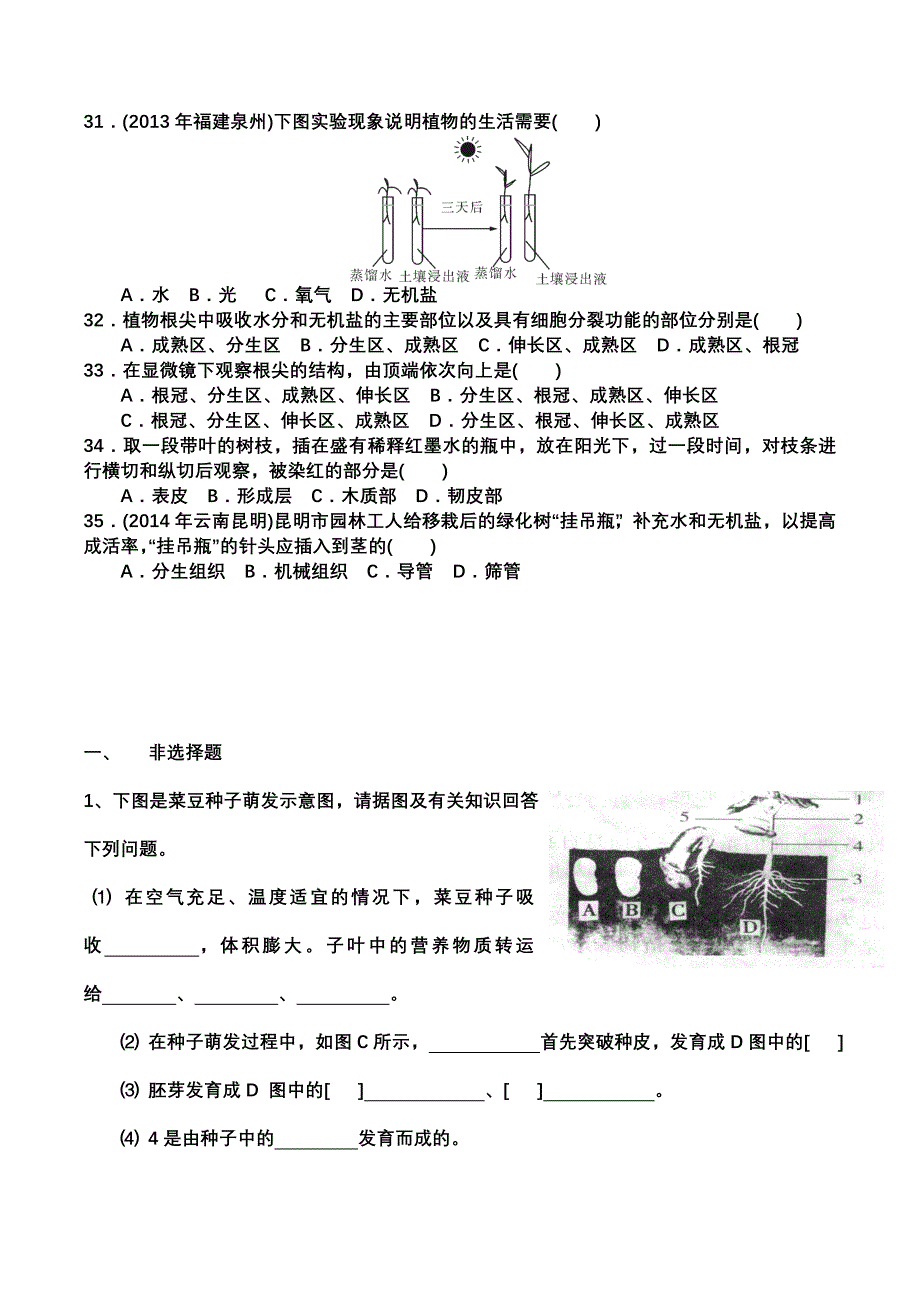 第二章被子植物的一生测试题.docx_第4页