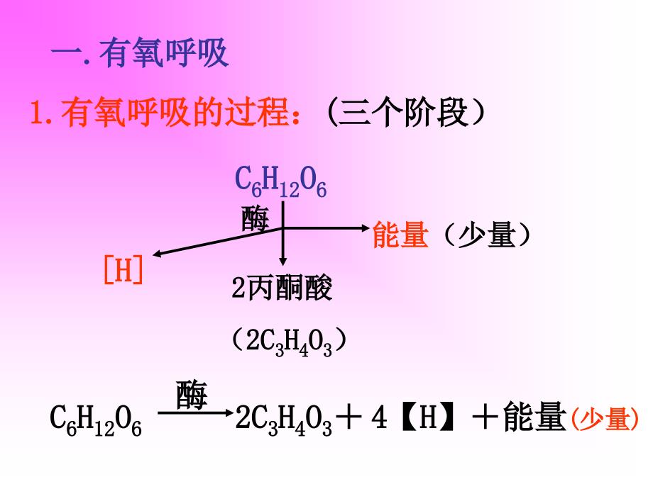 高一生物细胞呼吸课件_第1页