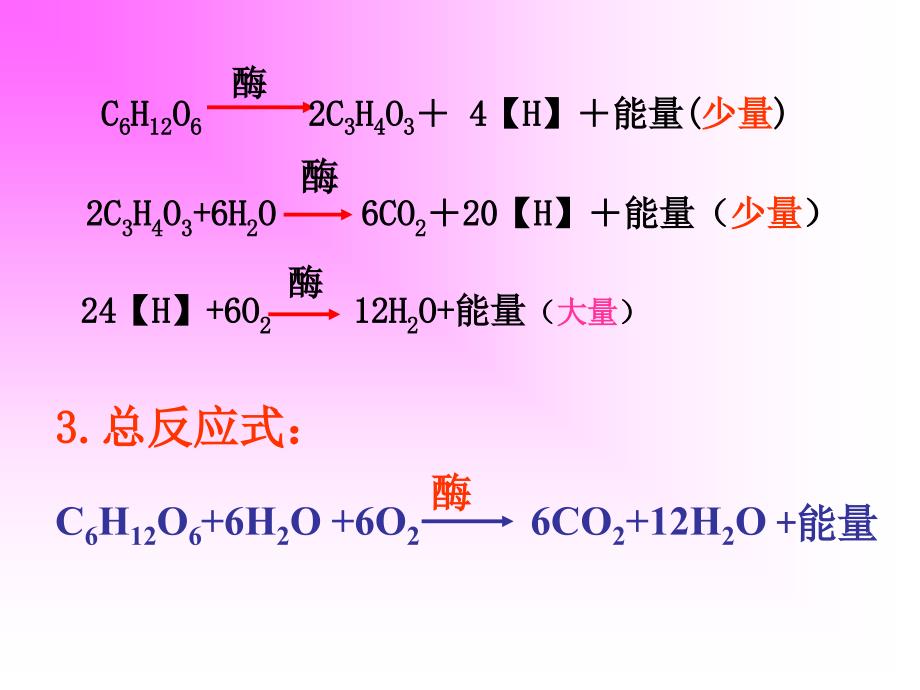 高一生物细胞呼吸课件_第4页