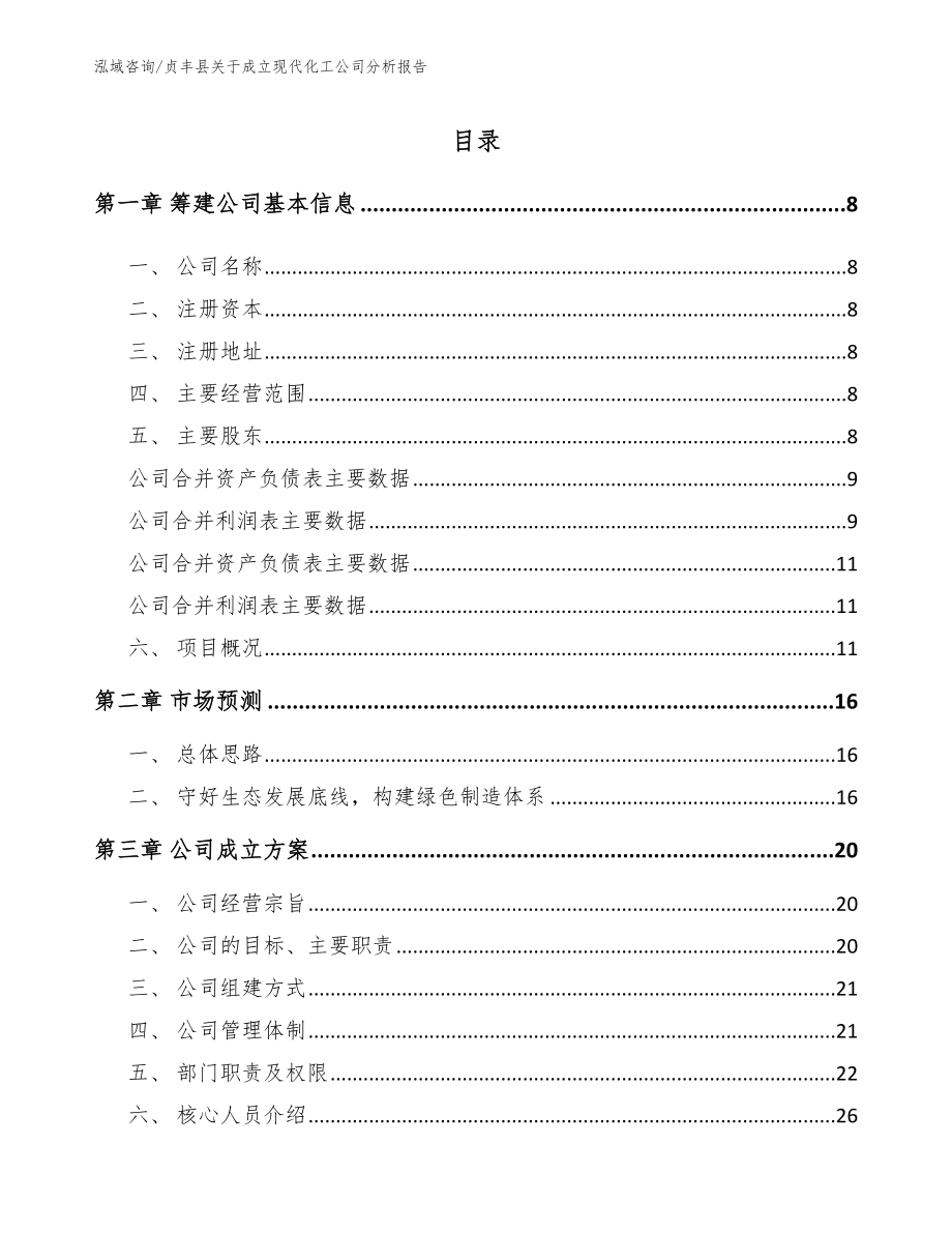 贞丰县关于成立现代化工公司分析报告_第2页