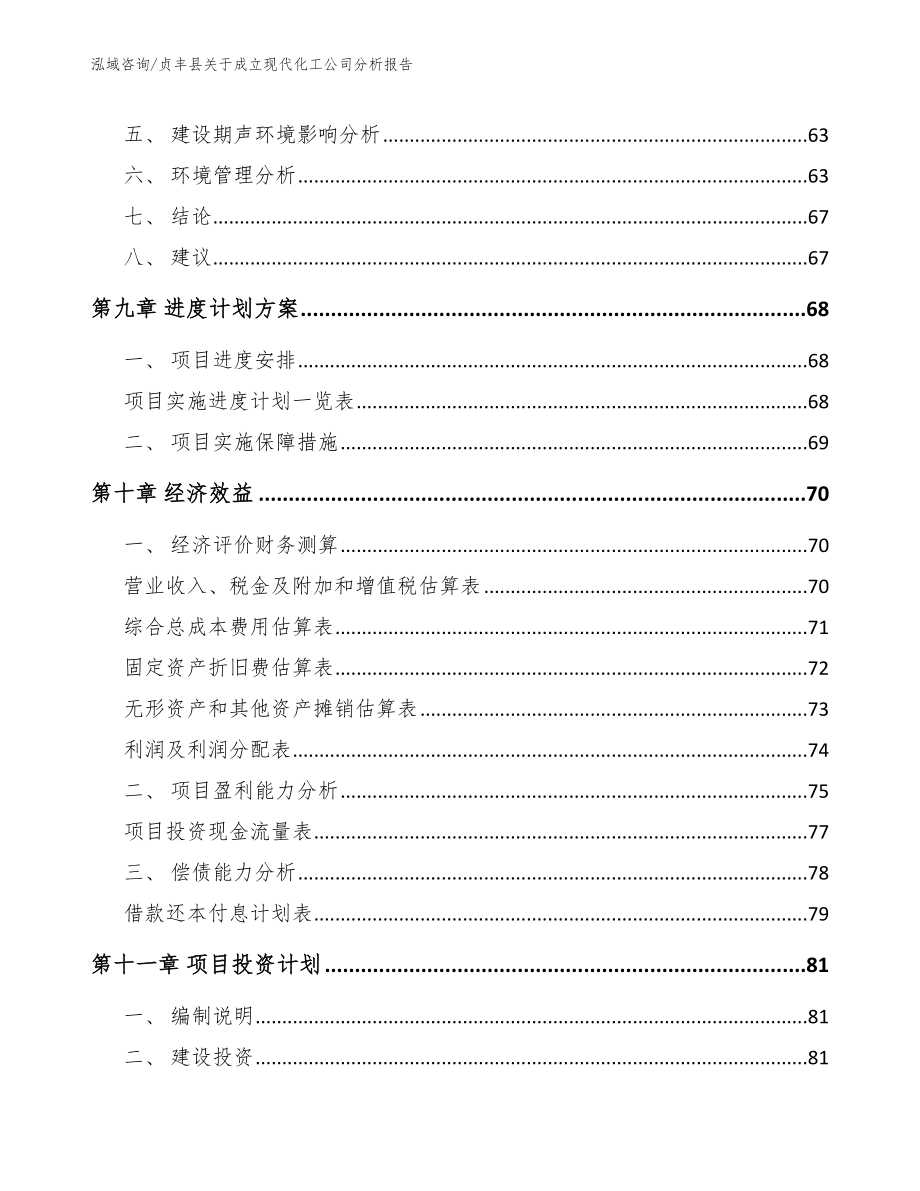 贞丰县关于成立现代化工公司分析报告_第4页
