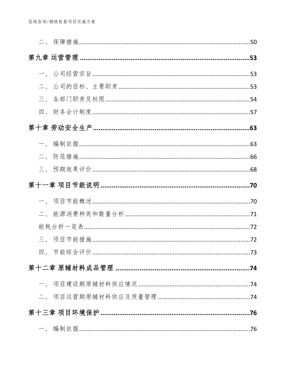 铜陵桩基项目实施方案【参考模板】_第3页