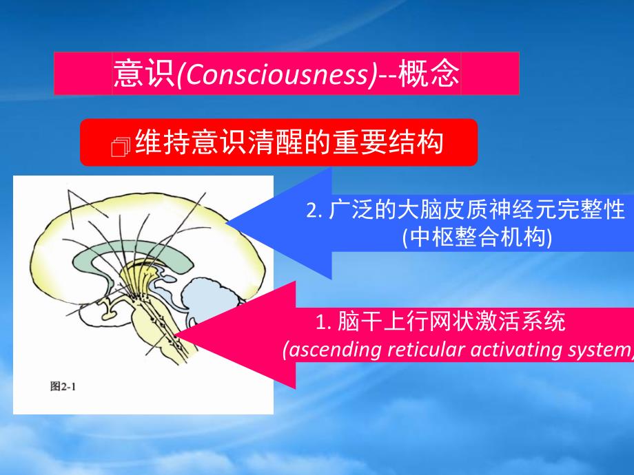 意识障碍的诊断思路(PPT49页)_第3页