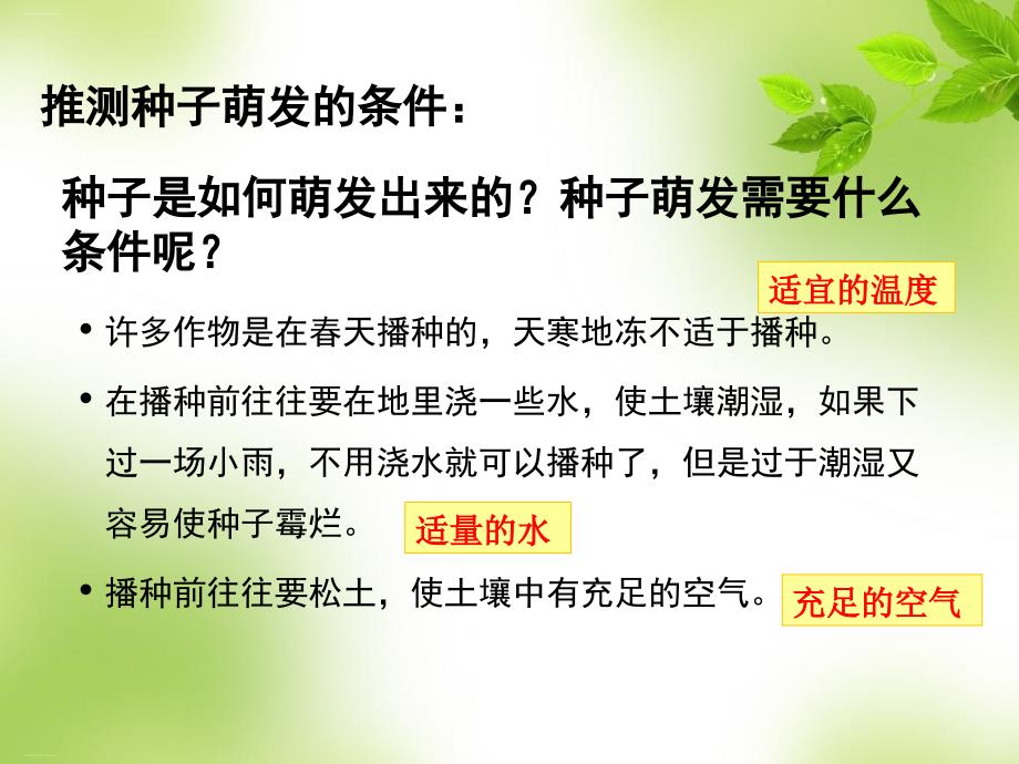 教科版课件种子的萌发优质课件1_第3页