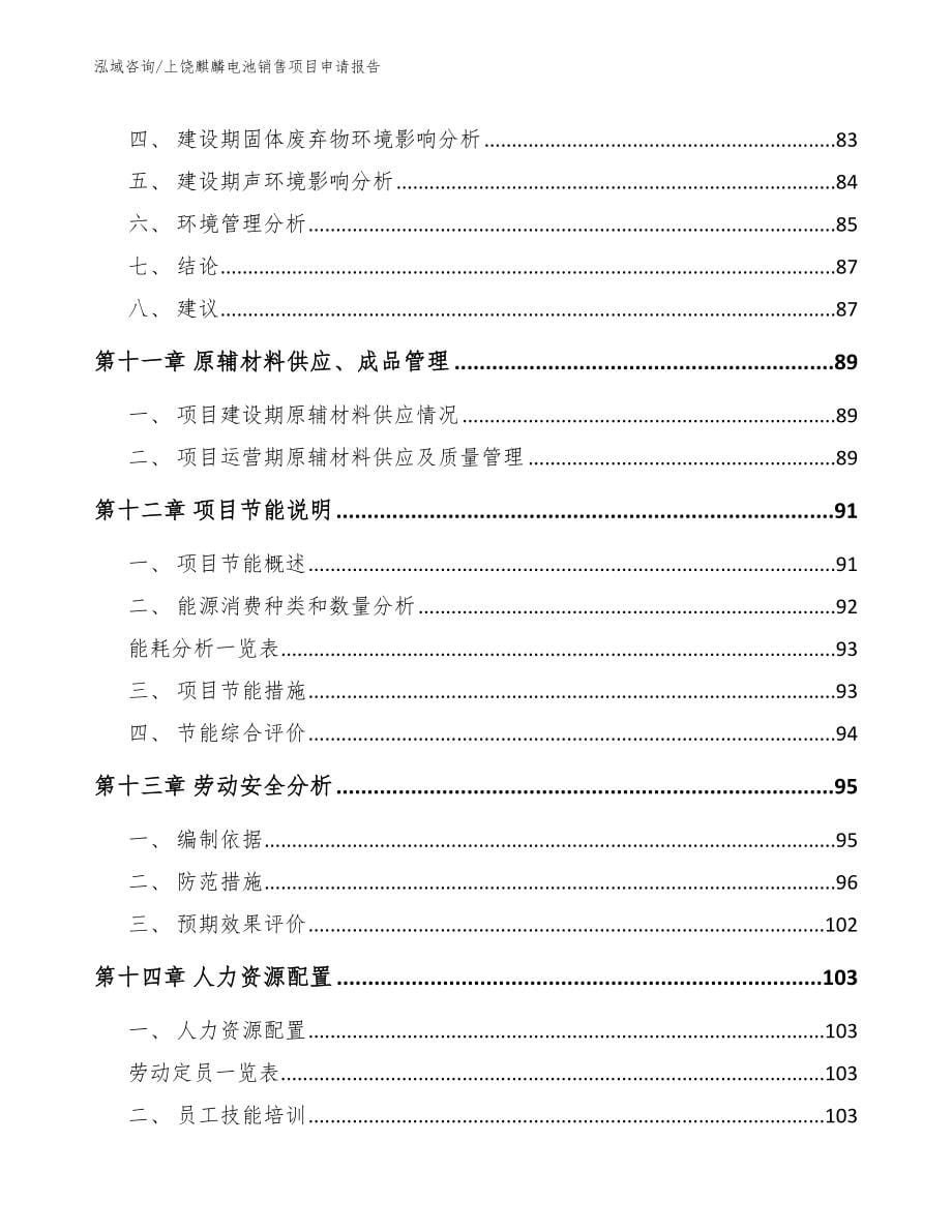 上饶麒麟电池销售项目申请报告_第5页