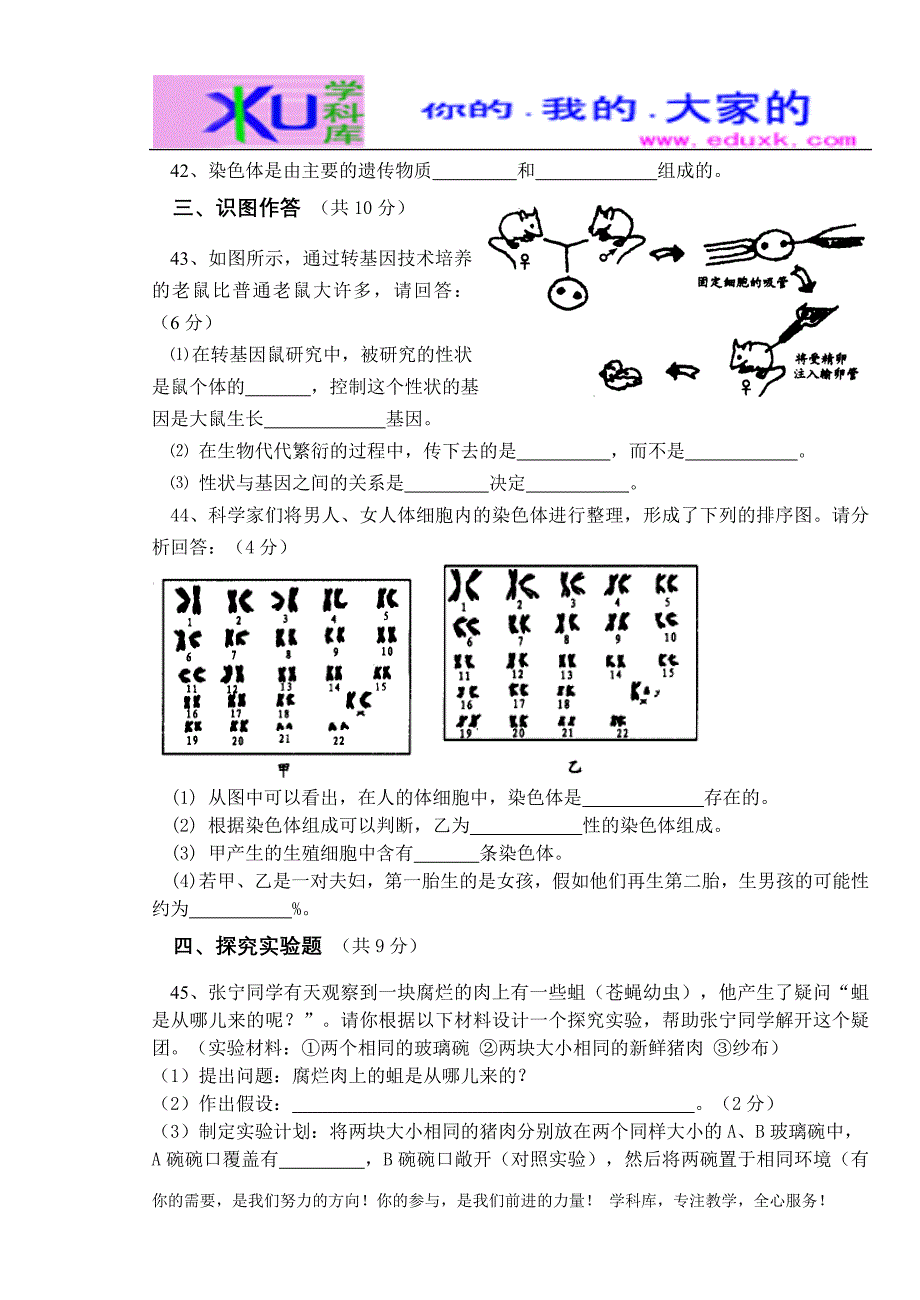 人教版八年级下册生物期中考试试卷及答案_第4页