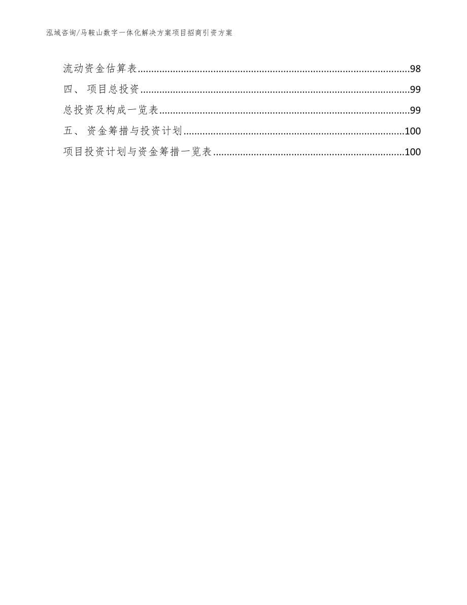 马鞍山数字一体化解决方案项目招商引资方案参考范文_第5页