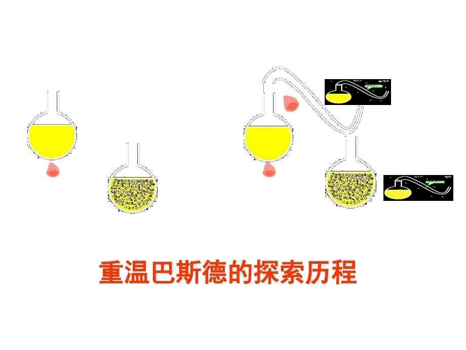 新人教版八年级生物上册第四章第二节《细菌》课件_第5页