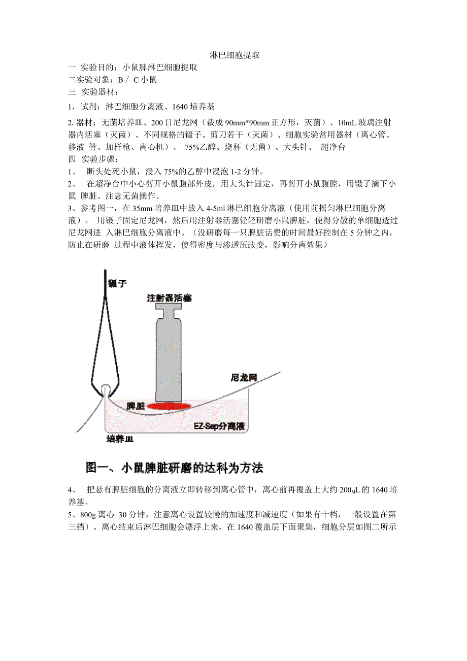 淋巴细胞提取_第1页