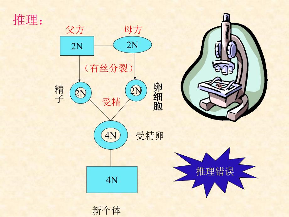 减数分裂与有性生殖细胞的成熟2课件_第3页