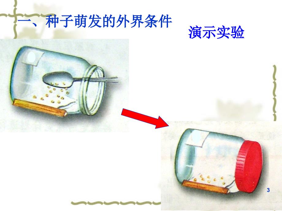 第一节种子的萌发_第3页