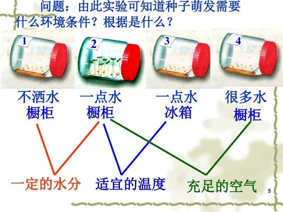 第一节种子的萌发_第5页