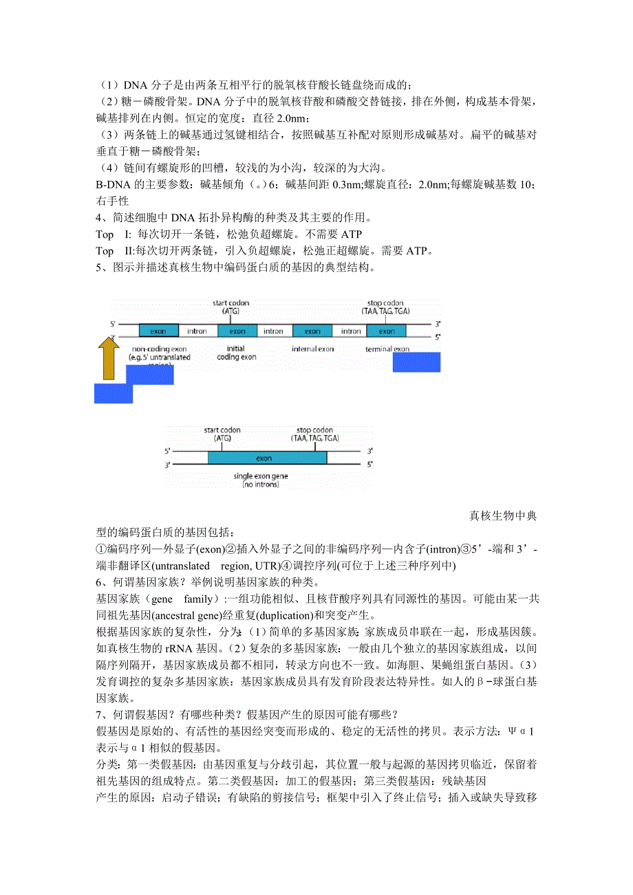 分子生物学2-7章作业及答案.doc_第2页