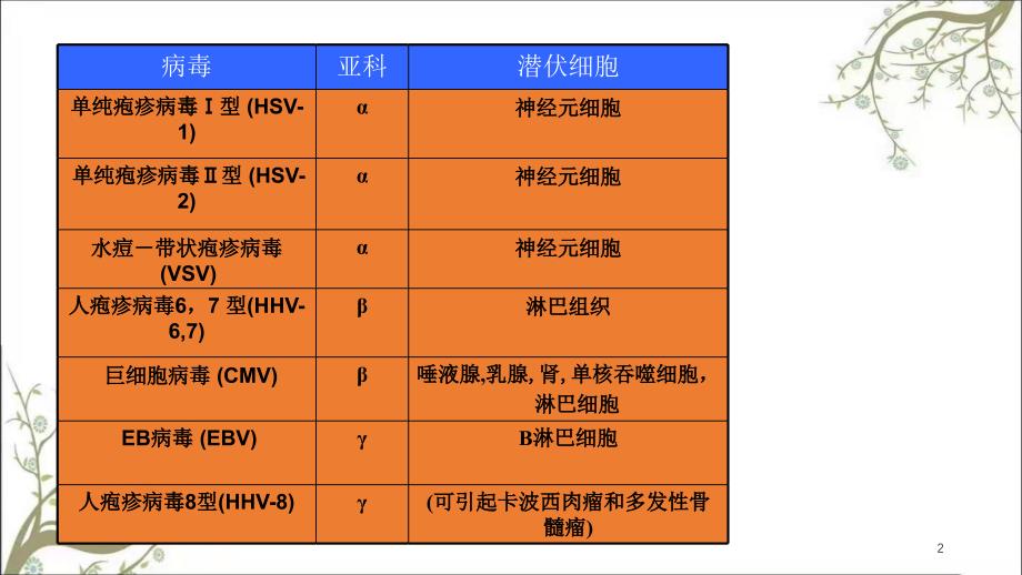 疱疹病毒介绍课件_第2页