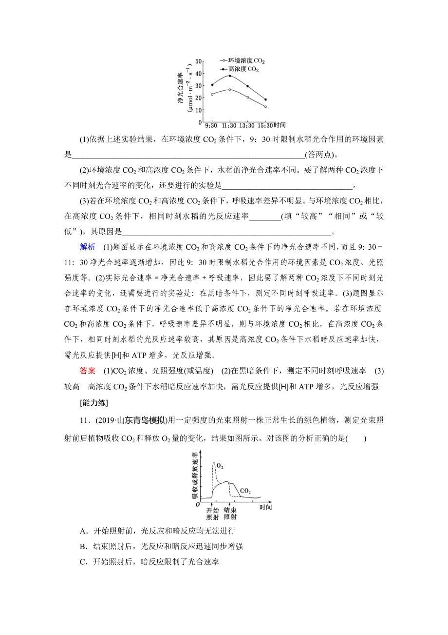 2021届山东省高考生物一轮复习作业：9-光合作用_第5页