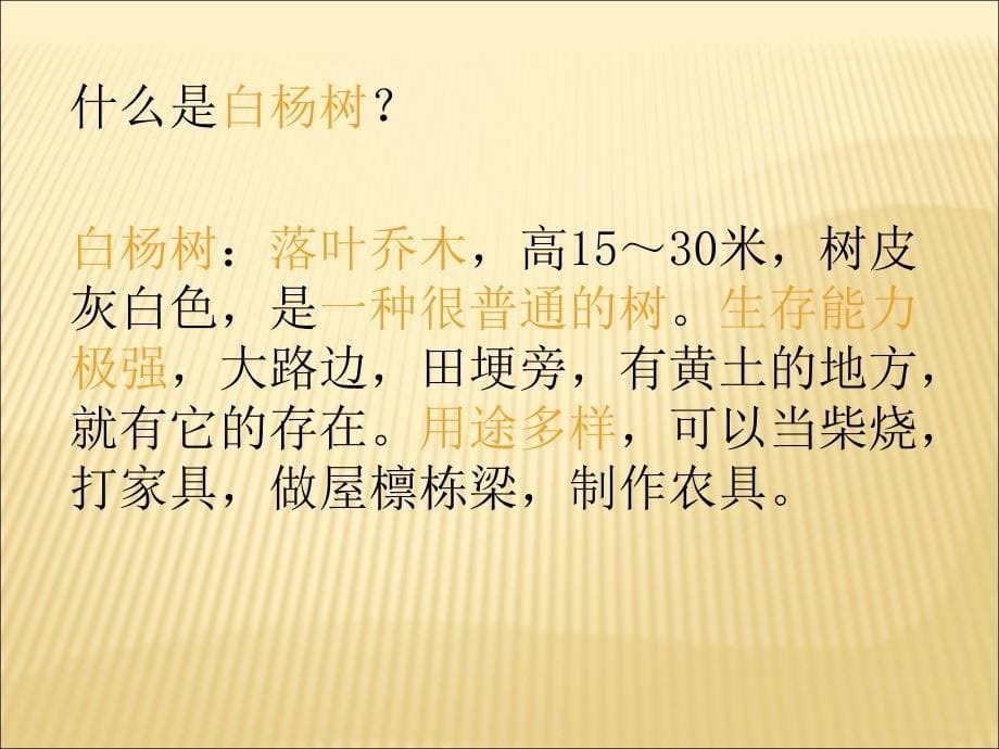 濮阳市范县濮城镇东关小学路园园1_第5页