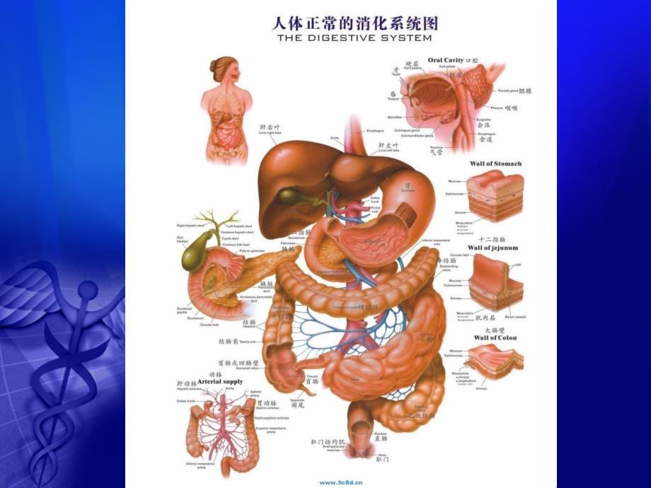 ICU病房消化道出血的诊断和治疗_第2页