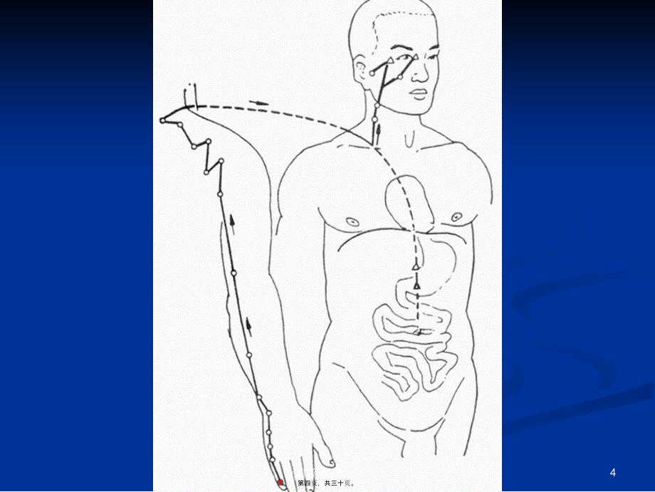 小肠经经脉穴位课件_第4页