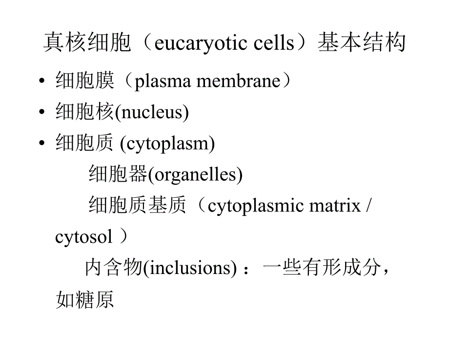 大学细胞生物学——第五章细胞的内膜系统_第2页