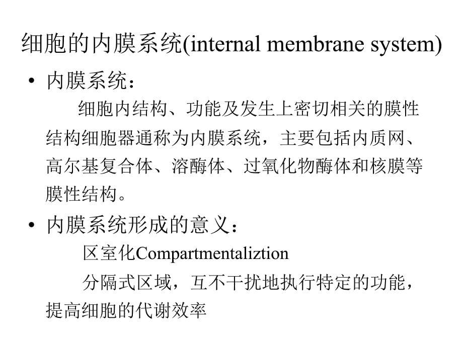 大学细胞生物学——第五章细胞的内膜系统_第5页