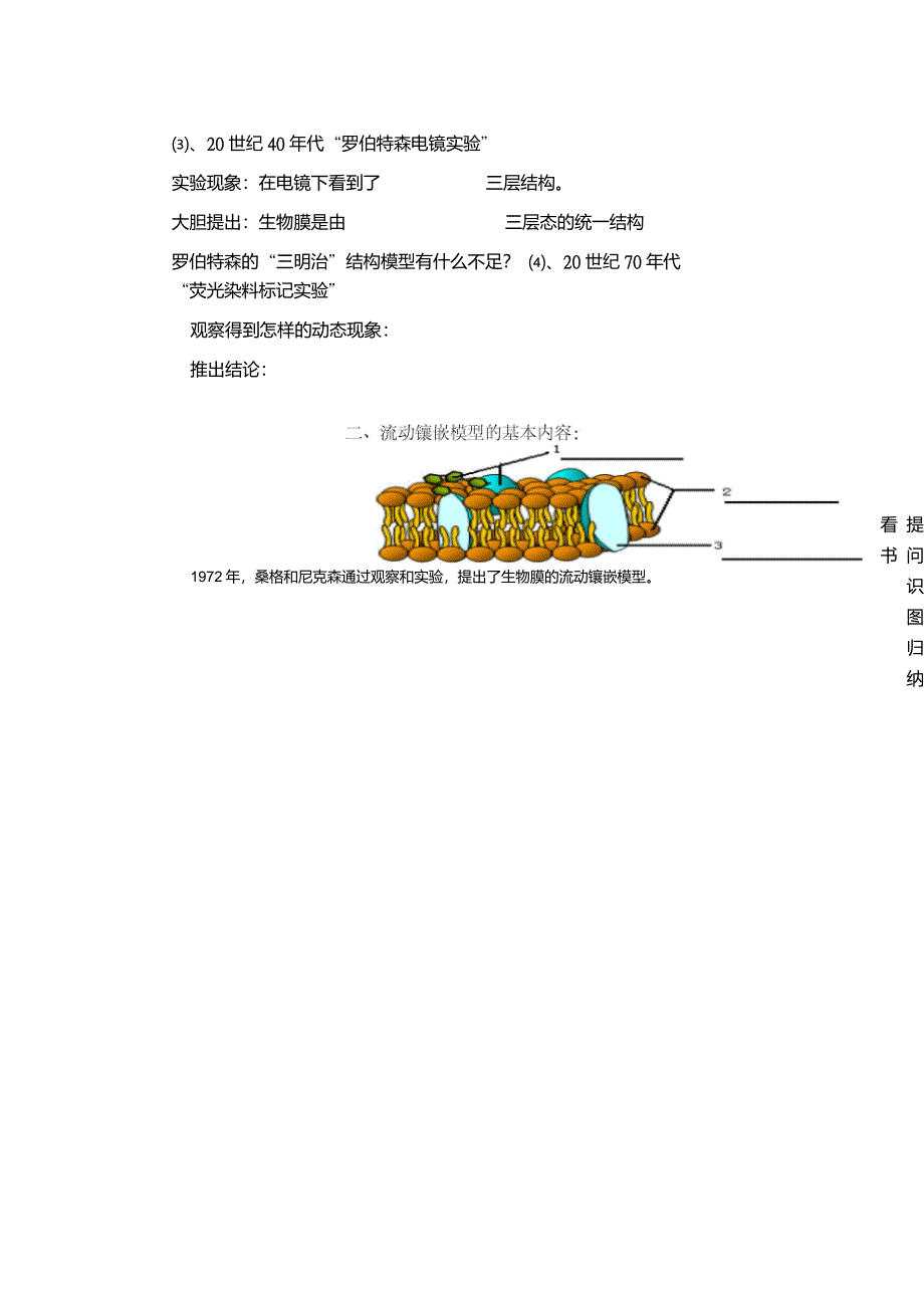 生物高中必修1第四章第二节教学案_第4页