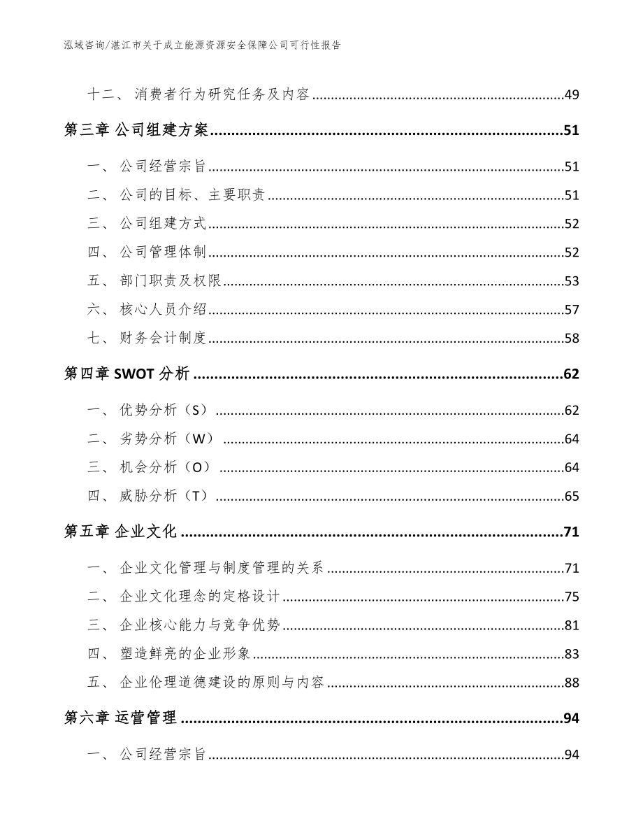 湛江市关于成立能源资源安全保障公司可行性报告【范文】_第2页