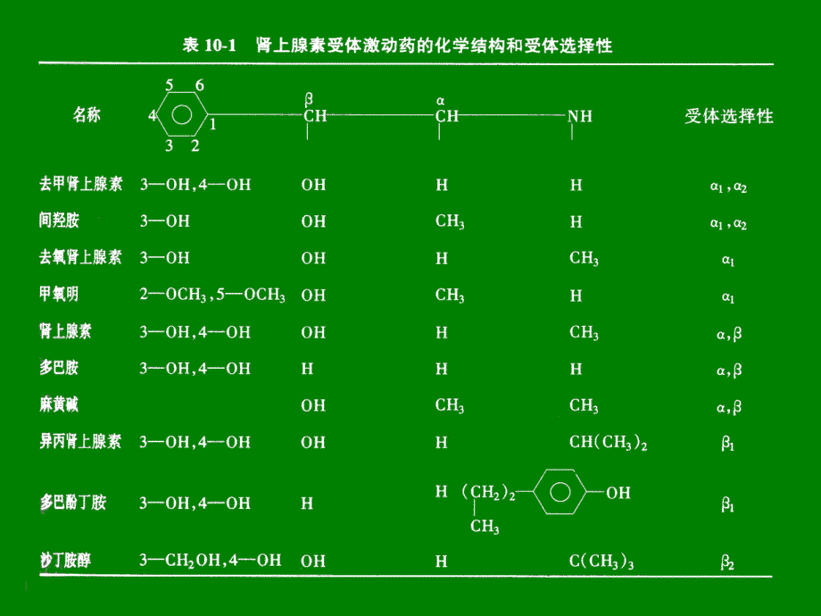 药理学课件：第八章 肾上腺素受体激动药1_第3页