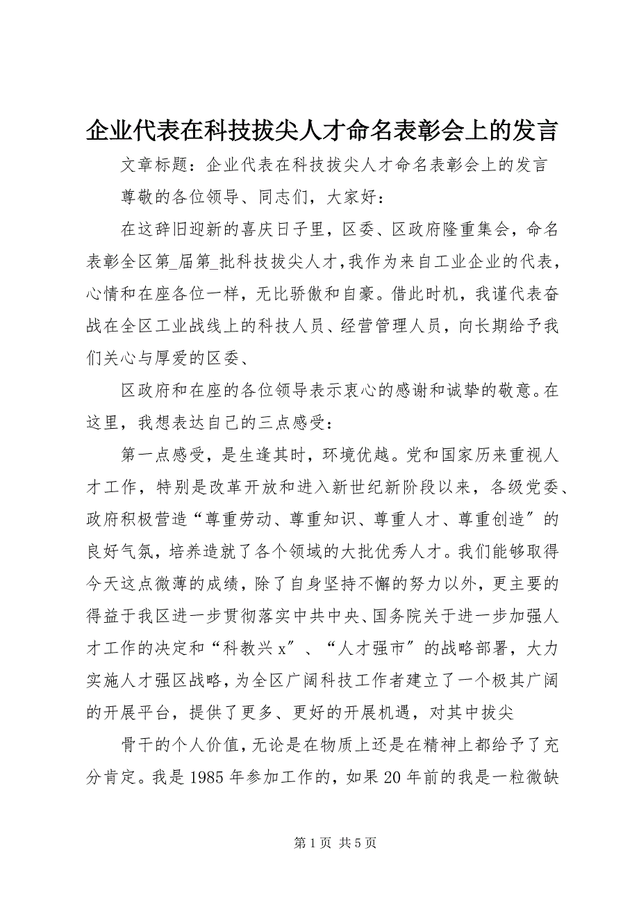 2023年企业代表在科技拔尖人才命名表彰会上的讲话.docx_第1页