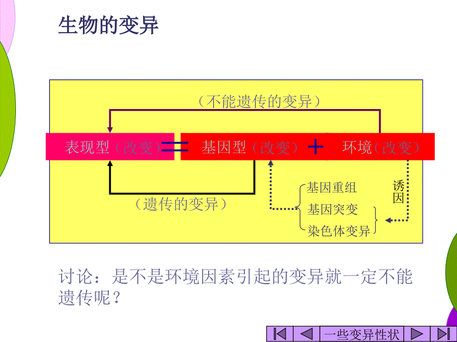 一基因突变和基因重组_第2页