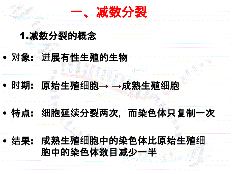 减数分裂和受精作用新人教必修2ppt课件_第4页