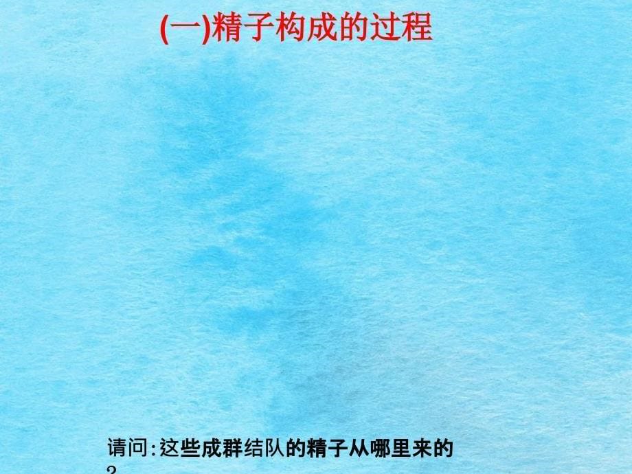 减数分裂和受精作用新人教必修2ppt课件_第5页