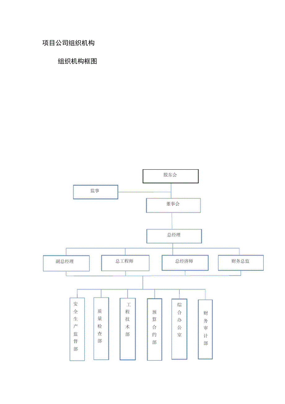 项目公司组织机构_第1页