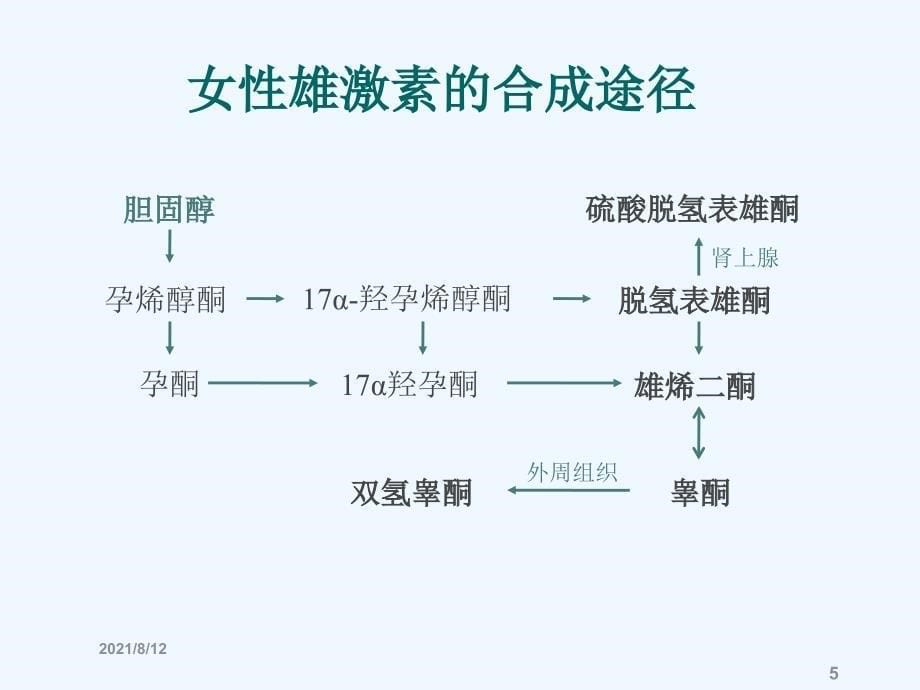 女性高雄激素血症的诊断思路讲座_第5页