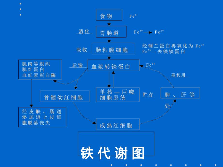 八年制缺铁性贫血_第4页