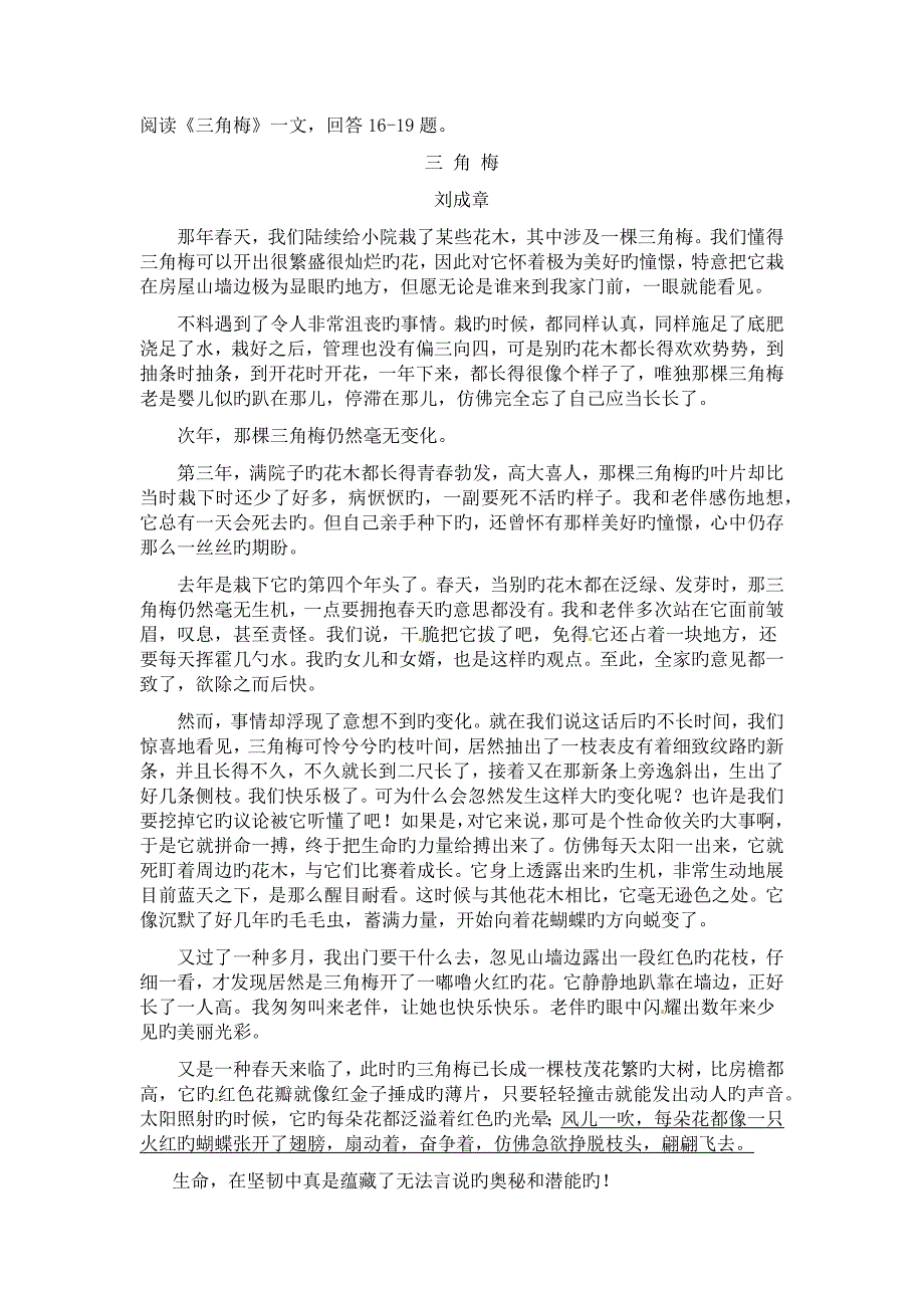 三角梅(记叙文阅读)_第1页
